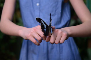 宝宝风疹和荨麻疹怎么区分